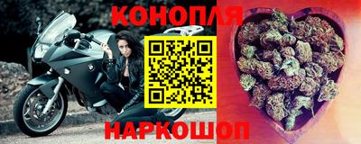 крисы Свободный