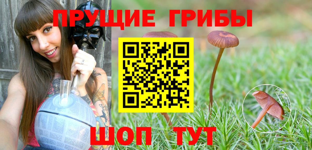 Псилоцибиновые грибы MAGIC MUSHROOMS  Вход с VPN  Асбест 